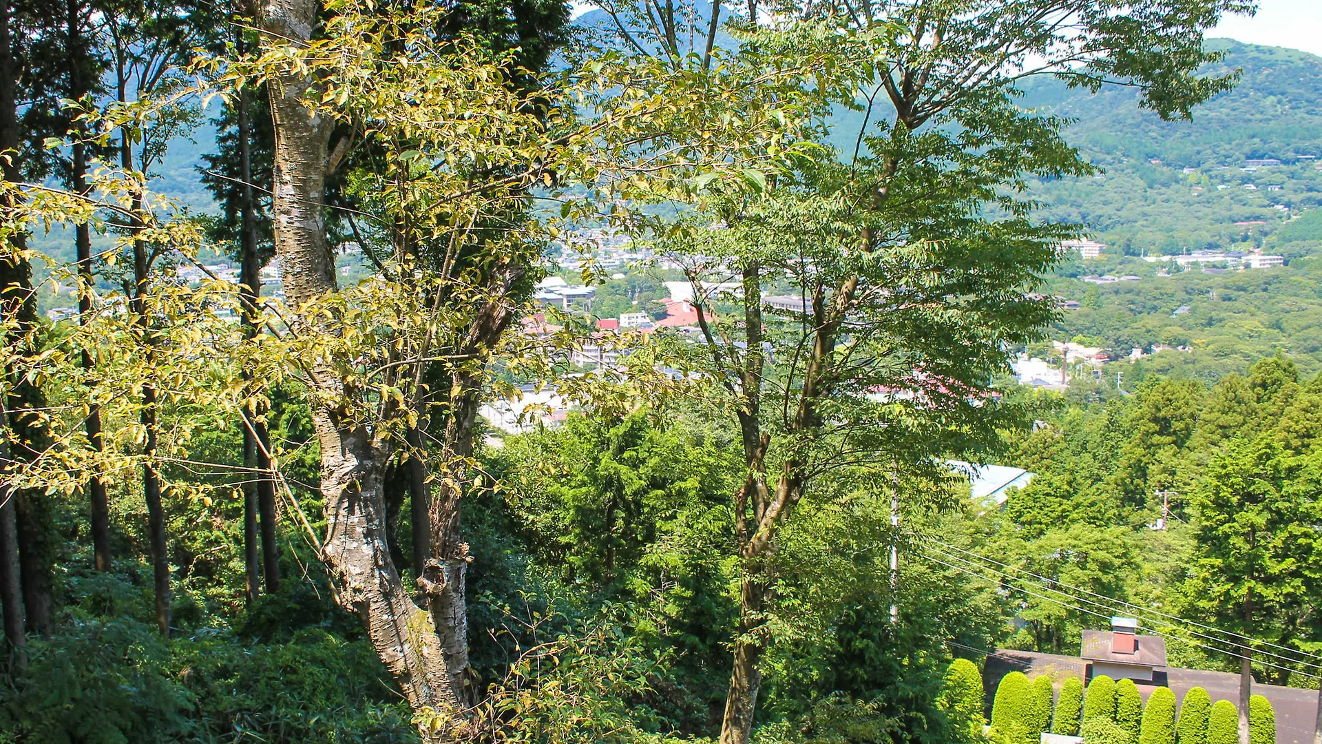 旅館 LiVEMAX RESORT 箱根仙石原